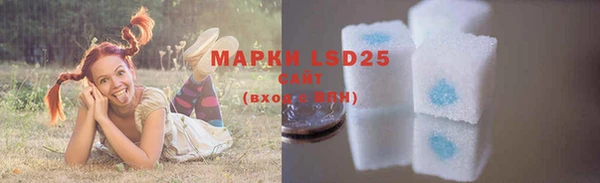 мяу мяу мука Гусев