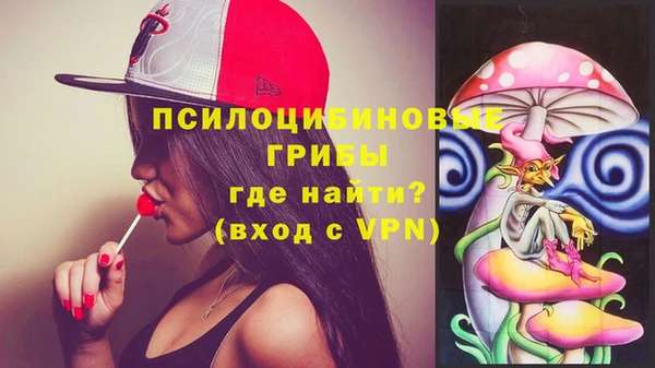 не бодяженный Гусь-Хрустальный