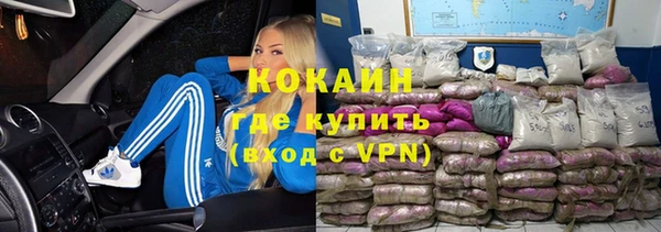 мяу мяу мука Гусев
