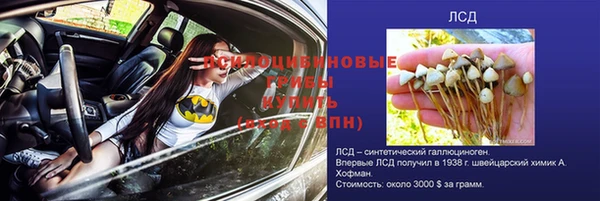 mdma Гусиноозёрск