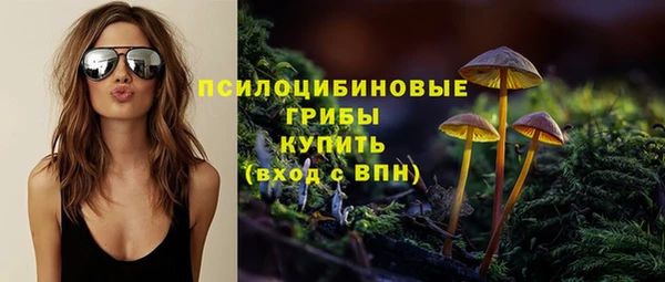 mdma Гусиноозёрск