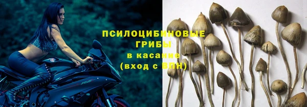 мяу мяу мука Гусев